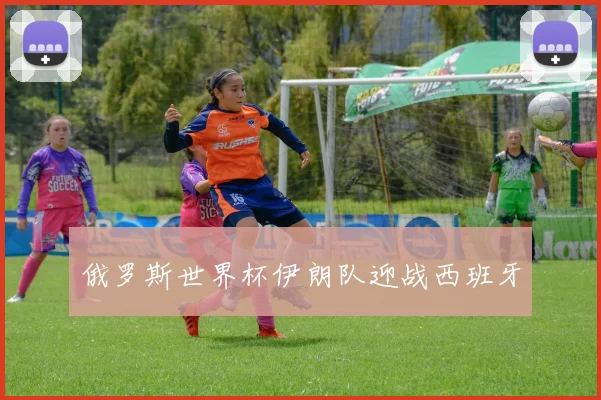 俄罗斯世界杯伊朗队迎战西班牙