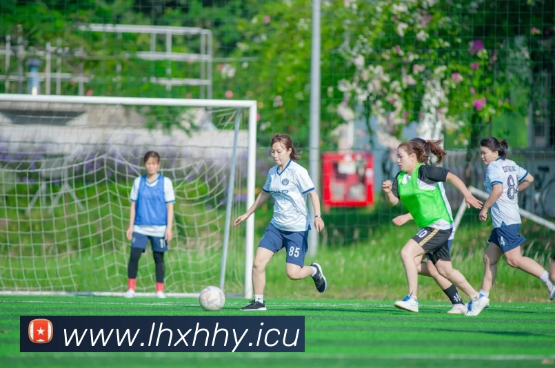 九游j9官网服务体系